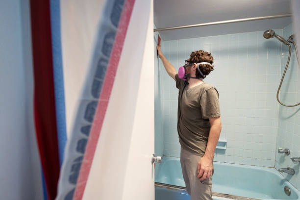 Best Mold Odor Removal Services  in Albert Lea, MN