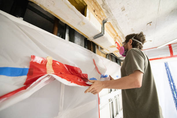 Asbestos and Lead Testing During Mold Inspection in Albert Lea, MN