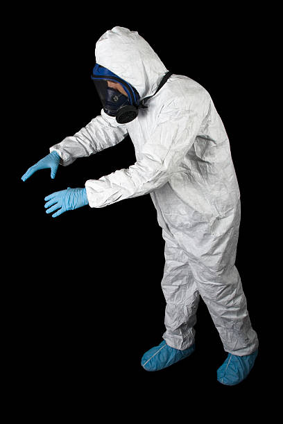  Albert Lea, MN Mold Removal Pros